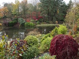 Supporting image for story: Powys gardens open to the public even though Autumn has arrived