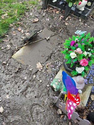 Pics sent in
Permission for use for LDR partners 