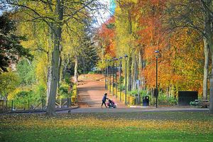 Supporting image for story: Good luck, garden, it's autumn and I've given up