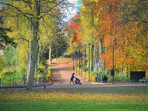 Supporting image for story: Good luck, garden, it's autumn and I've given up