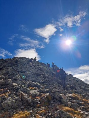 Sacha was one of eight in the group.