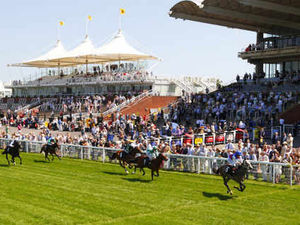 Supporting image for story: Ex-Walsall owner Terry Ramsden back at the races