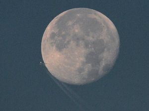 Supporting image for story: Company contemplates moon mission