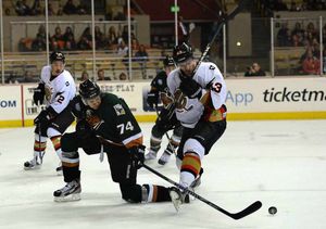 The Utah Grizzlies will be linking up with the Shropshire team