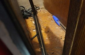 Photos of the conditions found at the premises. 