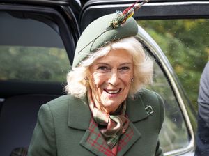 Supporting image for story: Queen to attend Trump state visit in full after recovering from acute sinusitis