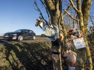 Supporting image for story: Three teenagers killed after car hits tree in Wakefield
