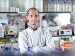 Supporting image for story: International travel should resume slowly in face of Covid variants – scientist