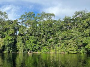 Supporting image for story: Sustainable development must work or world faces ‘massive tragedy’, expert says