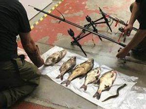 Supporting image for story: Walsall men fined after illegal fishing
