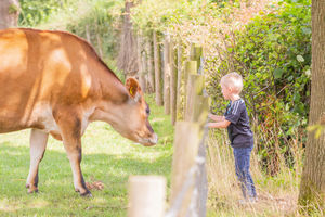 Meet our rescued animals.