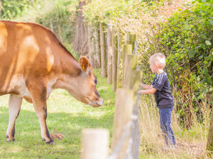 Supporting image for story: Paws, play, and smiles await at animal sanctuary’s open day