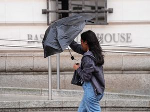 Supporting image for story: Disruption continues as clean-up begins after Storm Floris