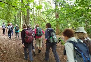 Ramblers enjoying a walk