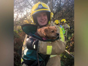 Supporting image for story: Woman and dog rescued by Telford firefighters