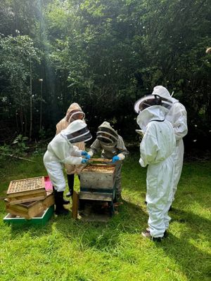 Beekeepers on their beekeeping journey last year inspecting a hive of honeybees