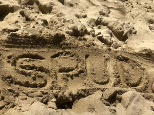 The site where Lisa Murray Lang, 46, left the ashes of her Syrian hamster 'Spud' in Hawaii. Photo: Lisa Murray-Lang/SWNS