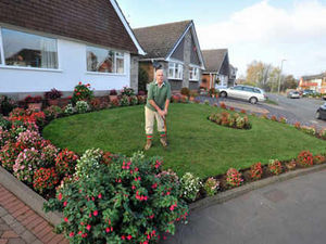 Supporting image for story: Bernard's begonias are stars of season