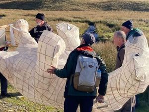 Supporting image for story: Clarion the climate bear from south Shropshire reaches Glasgow for COP26