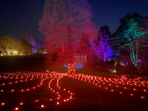 Supporting image for story: Brighten up the winter nights this Christmas at light shows across the region