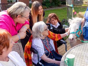 Supporting image for story: Lovell brings neigh-bourly friends to Rugeley care home to celebrate new development