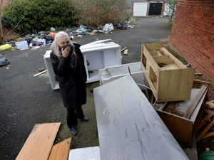 Supporting image for story: What a stink! Fly-tippers dump foul-smelling waste near homes