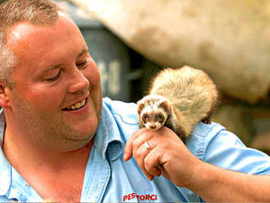Supporting image for story: Shrewsbury pest controller reveals fondness for ferrets