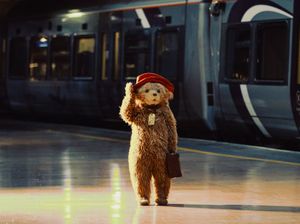 Supporting image for story: Tom Fletcher song for Paddington The Musical tipped for Christmas number one