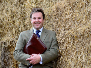 Supporting image for story: Spring is in the air and the paperwork is growing