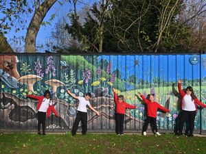 Supporting image for story: Nursery takeover to meadow mural: We visit the Shropshire primary school thriving with new extension and environmental project