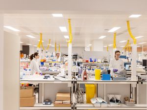 Supporting image for story: GSK posts higher profits but indicates sales growth to slow in 2026