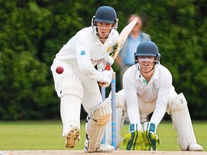 Supporting image for story: Shropshire batters among the runs