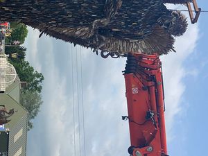 Supporting image for story: Shropshire's Knife Angel restarts its national tour