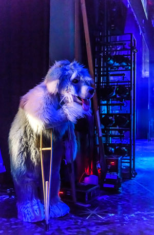 Behind the scenes of Peter Pan at Birmingham Hippodrome. Picture by Simon Hadley