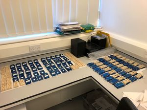 Supporting image for story: Hundreds of worms to fly to space to help shed light on human muscle loss