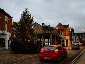 Supporting image for story: Market Drayton Christmas tree to go up next week as town prepares for popular Festival of Lights