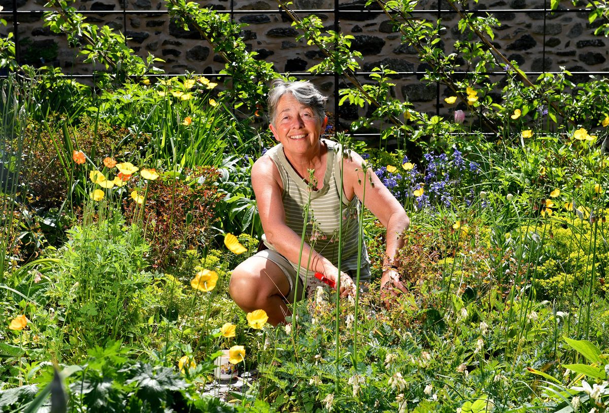 Picturesque Welsh border village gears up for open gardens this weekend