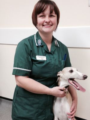 Supporting image for story