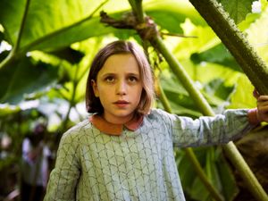 Supporting image for story