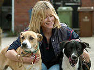 Supporting image for story: Pets dumped by hard-up families