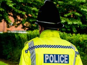 Supporting image for story: Man who shouted racial abuse after Wellington pub row spilled into street is sentenced