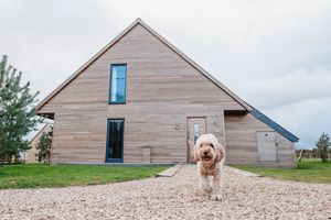 Darwin Escapes heads to Dogfest at Ragley Hall in search of Britain’s next top pooch