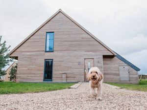 Darwin Escapes heads to Dogfest at Ragley Hall in search of Britain’s next top pooch