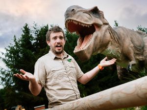 Supporting image for story: Families set for dino-sized fun at Hoo Zoo this bank holiday