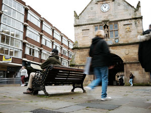 Supporting image for story: Animal rights activists set to demonstrate against meat eaters in Shrewsbury