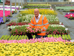 Supporting image for story: GALLERY: How nursery is key to keeping Shrewsbury blooming marvellous