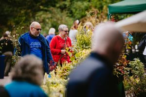 Plant Hunters Fair at Dorothy Clive Garden near Market Drayton