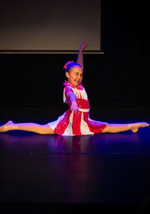 Staffordshire Community Dance Project 22/03/26