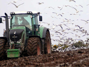 Supporting image for story: Check now or risk ploughing your crops up