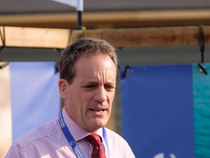 Supporting image for story: Will ban on pheasant shooting harm the countryside?